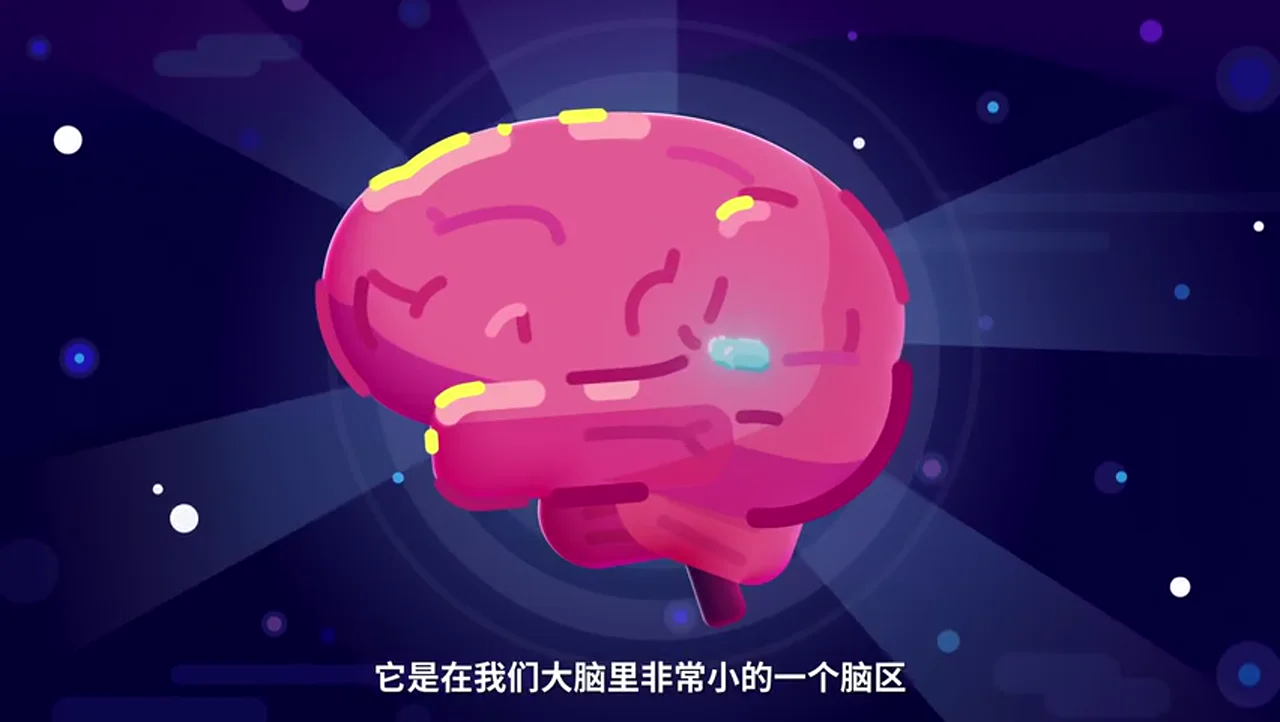 关键帧 5